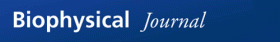 biophysj