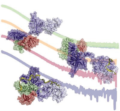 ResearchHighlight-RPA