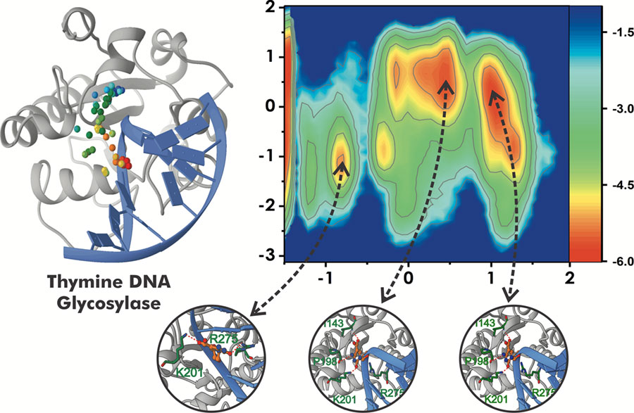 PR20180530_DNA_repair